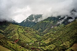 Cloud forest near Mindo