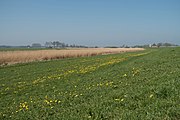 Panorama vanaf de Zeedijk bij Schoterzijl