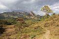 Forêt de Harenna dans les monts Balé