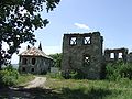 Ruine ale castelului