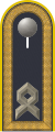 Dienstgradabzeichen eines Hauptfeldwebels auf Schulterklappe der Jacke des Dienstanzuges für Luftwaffenuniformträger