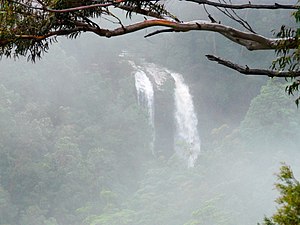 A view of Twin Falls at Springbrook from Canyon Lookout on a very misty afternoon.