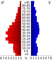 Bevolkingspiramide Sussex County