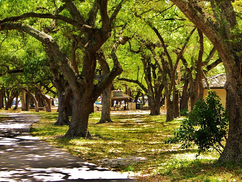 File:Nice walking trail at TY Park. Belle oasis au centre ville le TY Park à Hollywood,Fl. - panoramio.jpg