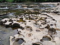 * Nomination Potholes as Aysgarth Upper Falls --Kreuzschnabel 18:01, 6 August 2013 (UTC) * Decline Been there, but don't think DOF is deep enough. --Mattbuck 15:25, 13 August 2013 (UTC)