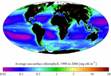 Mapa de incidência de clorofila no período de 1998-2006. NASA SeaWiFS.