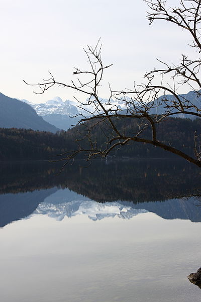 File:Altausseer See 78923 2014-11-15.JPG