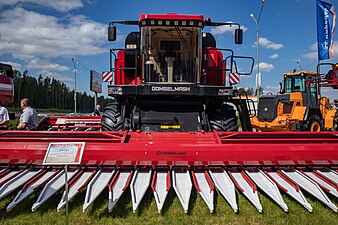 Frontaal beel van een rood zwarte maaidorser met een zonnebloemmaaibord. Typisch voor dit maaibord zijn de vele, in dit geval witte, uitstekende punten waartussen de zonnebloemen komen.