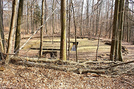 Blick auf den „Bärenzwinger“