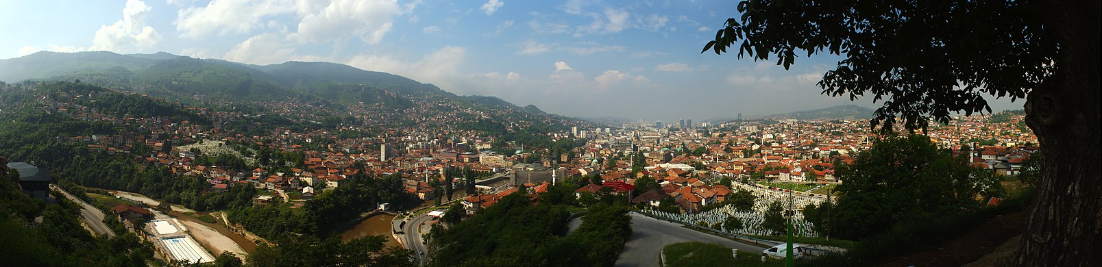 Panoramic view