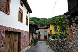 Tuña Tineo Asturias 01.JPG