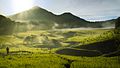 Savana Tegal Panjang di Gunung Papandayan