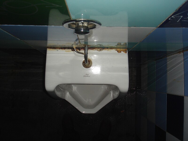 File:Toilet (157843703).jpg