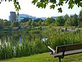 Lake feature, Celtic Springs Business Park