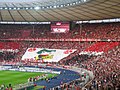 Final 2007, fans of the winning 1. FC Nürnberg