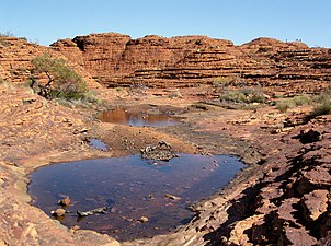 Rockpool at Kings Canyon