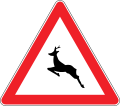 Deer crossing