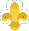 A fleur-de-lis positioned on a trefoil, the original Scouting colors