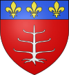 Blason de Nègrepelisse