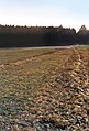 Kastell Pfünz, römische Straßentrasse nach Süden, Bayern