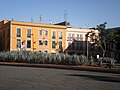 Agaves de la plaza.