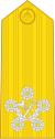 Admiral of the Fleet