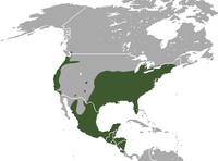 Mapa de distribución de la zarigüeya de Virginia