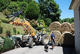 Rentrée de balles rondes de foin, en marche arrière, dans la maison Arbaous, à Bourréac