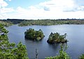 Parc national de Tyresta, 17 mai 2017