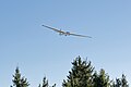 * Nomination SZD-50 Puchacz glider (SP-4015) over a forest on Turbacz peak in the Gorce Mountains --Jakubhal 15:19, 27 October 2024 (UTC) * Promotion  Support Good quality. --Velvet 07:44, 28 October 2024 (UTC)