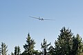 * Nomination: SZD-50 Puchacz glider (SP-4015) over a forest on Turbacz peak in the Gorce Mountains --Jakubhal 15:19, 27 October 2024 (UTC) * * Review needed