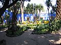 Picture from Frida Kahlos house - The Blue House. (Coyoacán, Mexico City)