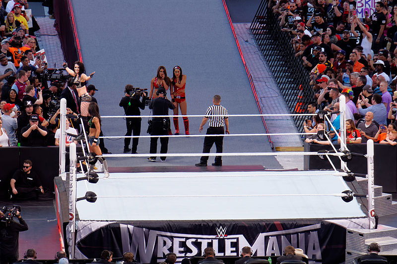 File:WrestleMania 31 2015-03-29 17-49-16 ILCE-6000 8236 DxO (17894564385).jpg