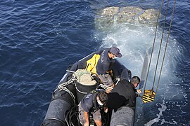 Emergenza ecoballe Golfo di Follonica - 50221697238.jpg