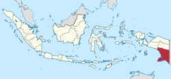 Lokasi Papua Dangsina di Indonesia