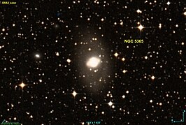 NGC 5365