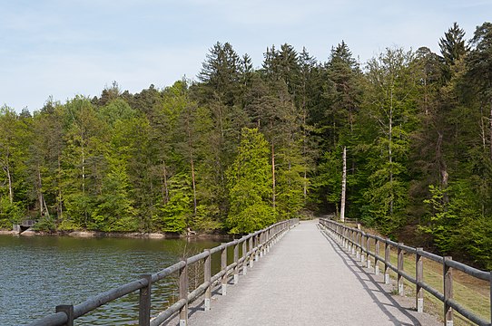 Path over the dam of the lake "Neuer See".