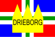 Vlag van Drieborg