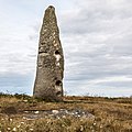 Le menhir de Cam Louis.