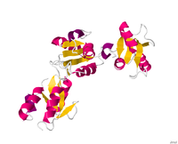 Image illustrative de l’article Microcéphaline