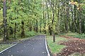 The North Bank Bike Path is a popular trail for cyclists