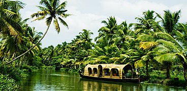 HOUSEBOAT IN KUTTANAD LAKE IN ALAPPUZHA,KERALA.jpg