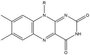 Isoalloxazine Structure.png