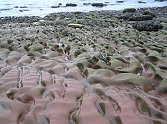 Wave-cut platform at Fleswick Bay