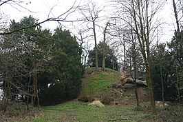 Tumulus van Herderen in het Grootbos