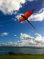 Dragone volante a Old San Juan