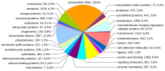 Human genome by functions