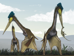 A Quetzalcoatlus rekonstrukciója