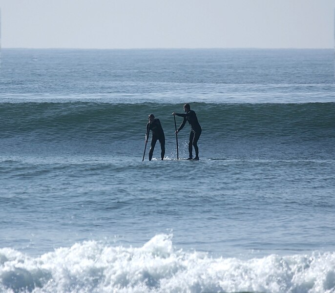 File:Surf IMG 3847-1 (3118118405).jpg