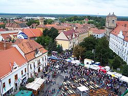 Skalické náměstí z věže kostela